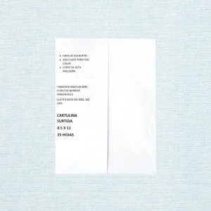 Block De Cartulina Colores Pasteles 8.5X11" 25H