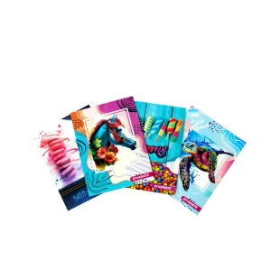 Cartapacio Con Bolsillo Diseños Surtidos (Niña)