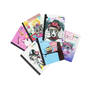 Cuaderno 5 Materias Grande (Niña)