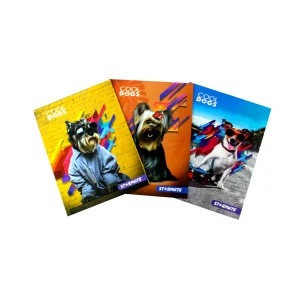 Cartapacio Con Bolsillo (Diseños Surtidos)